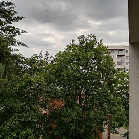 Relax Apartment